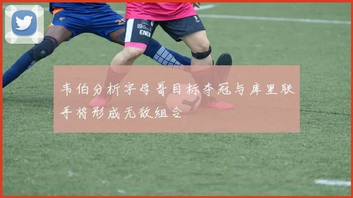 韦伯分析字母哥目标夺冠与库里联手将形成无敌组合